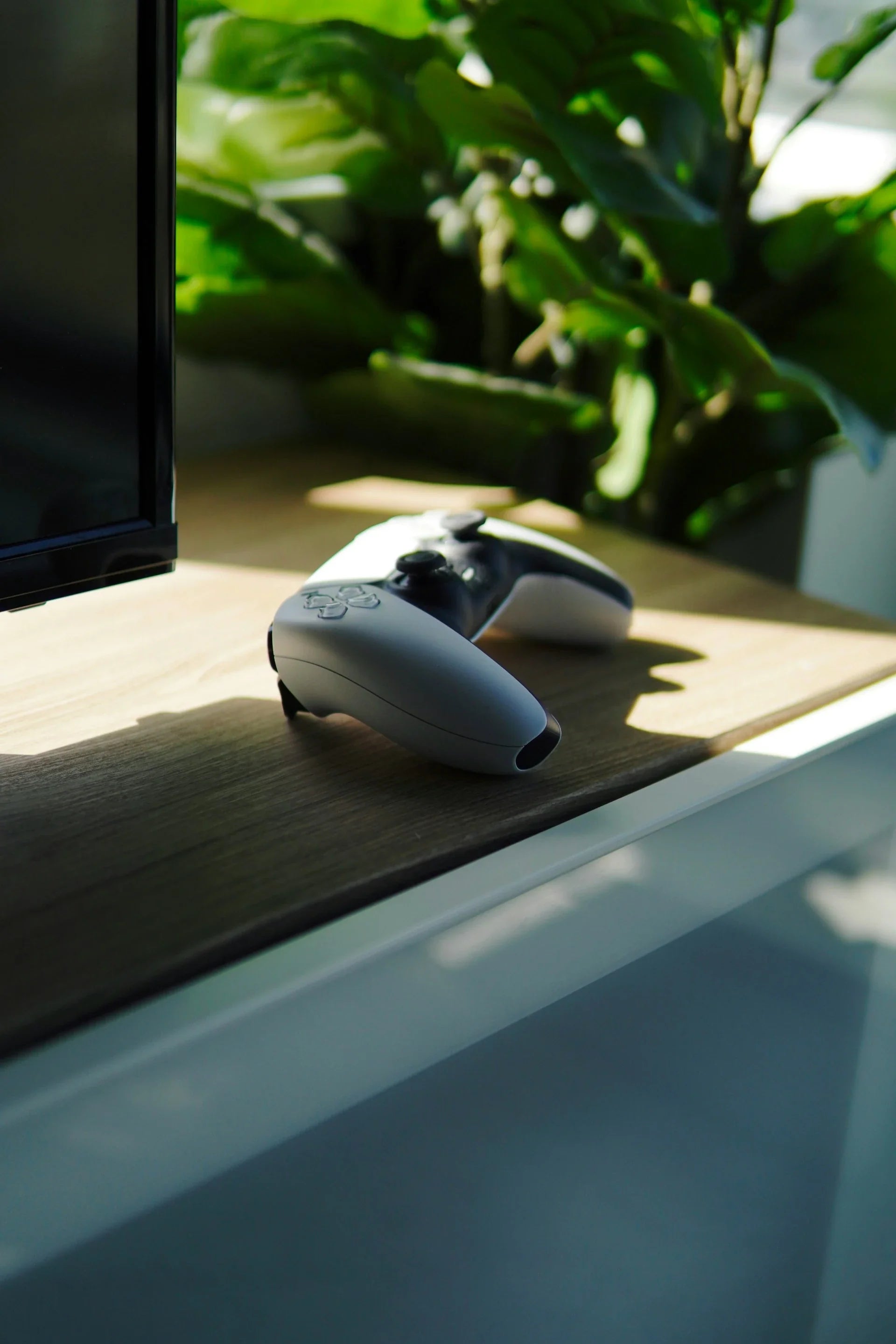 Choosing a Gamepad